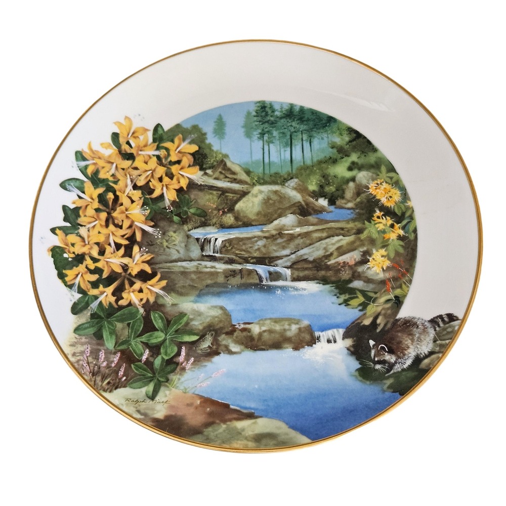 VTG Decorative Plate Royal Windsor Wild Honeysuckle Wildflowers South Gold Trim